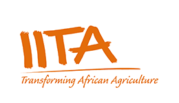 IITA Logo